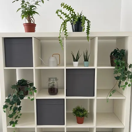 Apartmán Ami House *