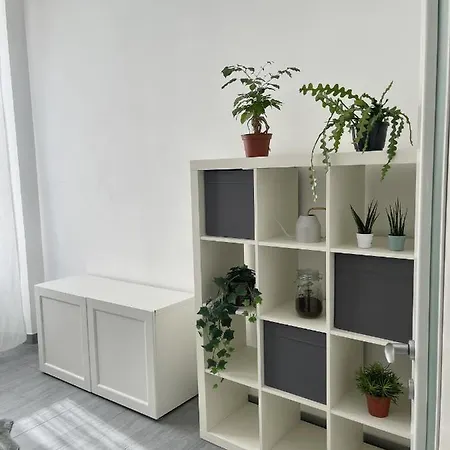 Ami House Rome